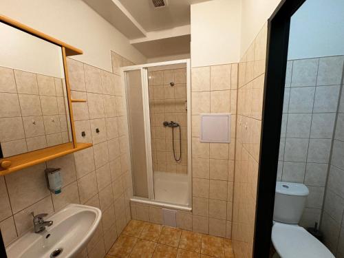 拉贝河畔乌斯季D8 APARTMÁNY的带淋浴、盥洗盆和卫生间的浴室