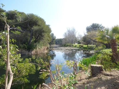 锡富尔勒普拉日150 m plage, domaine privé avec piscine的享有树木繁茂的河流美景