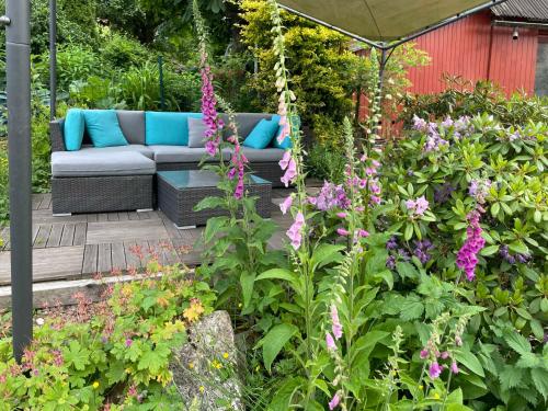 汉恩明登Gästehaus Bonaforth的一个带沙发和一些鲜花的花园