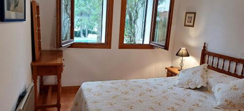 佩德雷尔Bungalow Le Petit Chat的一间卧室设有一张床和两个窗户。