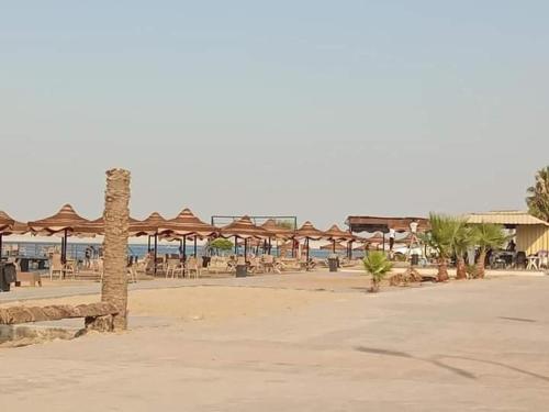 伊斯梅利亚قرية النورس مكتب السعد的海滩上设有桌子和遮阳伞,还有大海