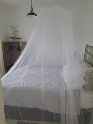 卢萨卡Zambia House的一张带蚊帐的白色床