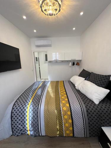 尼斯Appartement T2的一间卧室配有一张大床和一台平面电视