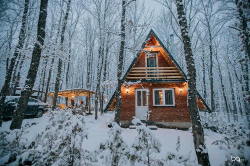 冬天的STANET Forest Houses