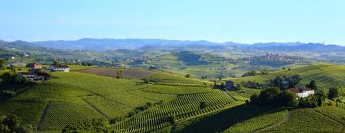 CortiglioneL'ulivo,casa di campagna.的享有山丘葡萄园的空中景色