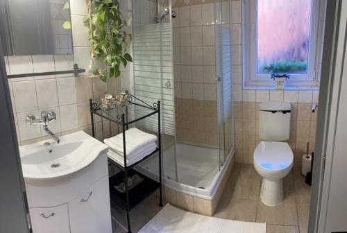 布达厄尔什布道尔斯迷你酒店的浴室配有卫生间、淋浴和盥洗盆。