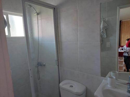 奥索尔诺Cabaña Campestre的带淋浴、卫生间和盥洗盆的浴室