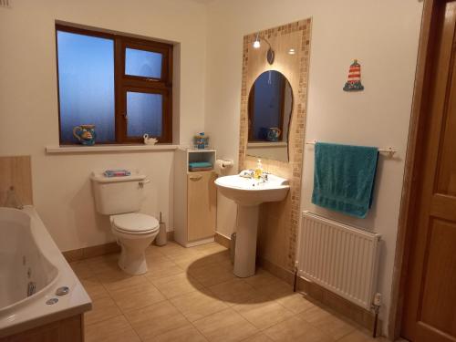 沃特福德Four Seasons的浴室配有卫生间、盥洗盆和淋浴。