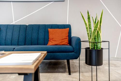 洛迦诺Miralago Locarno Easy Rooms的客厅里一张蓝色的沙发,上面有盆栽植物