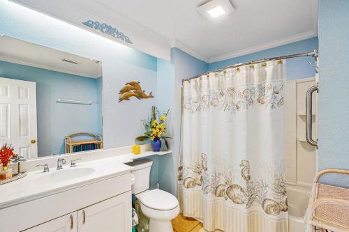 埃文Tressa Terrace的一间带卫生间和淋浴帘的浴室
