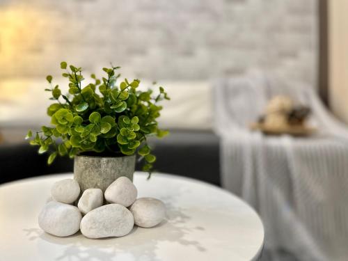 塞贝维海威舒适套房公寓的桌子上一个植物的花瓶