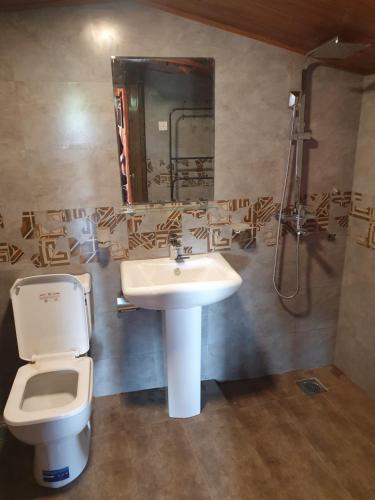 AmbawelaCharley's Heaven Ambewela的一间带水槽、卫生间和镜子的浴室