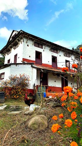 PanaotiSabitri Homestay的一座老房子,前面有一只鸡
