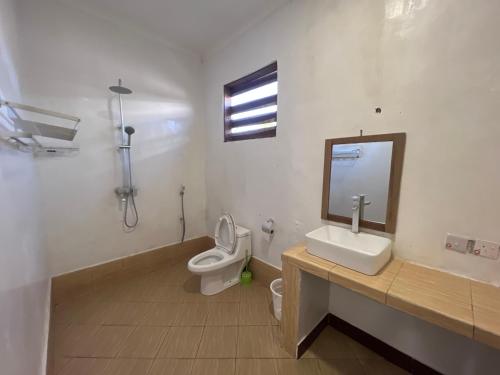 基林多尼New Dindini Lodge的一间带卫生间、水槽和镜子的浴室