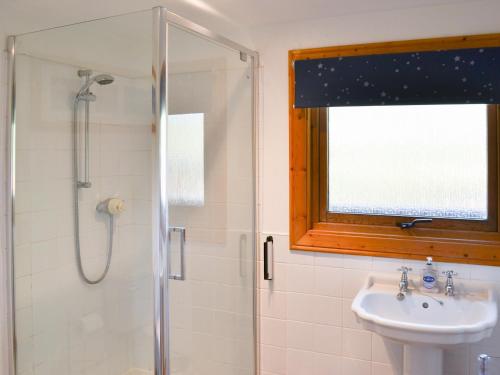 LegbourneRed Kite Lodge的带淋浴和盥洗盆的浴室