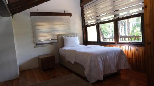 UnyeÇINARSUYU OTEL- Sosyal Tesisleri的一间卧室配有一张床和一个带百叶窗的窗户