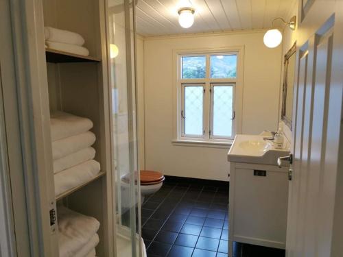 努尔菲尤尔埃德Sjarmerande hus i Eidsgata的一间带水槽和卫生间的浴室以及窗户。