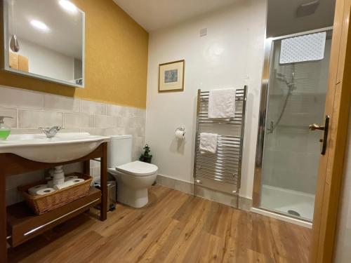 巴林托伊Dunnaglea Cottage, Ballintoy的浴室配有卫生间、盥洗盆和淋浴。