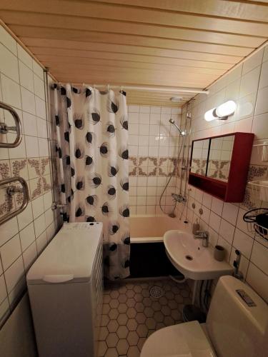 波里Back to Retro Yyterissä的浴室配有盥洗盆、卫生间和浴缸。