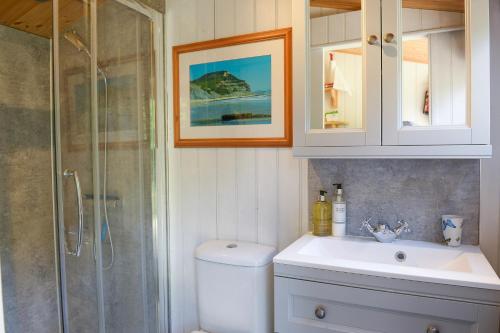 布里德波特Colly Farm的浴室配有卫生间、盥洗盆和淋浴。