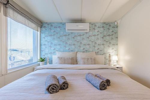 布拉迪斯拉发Očarujúci Houseboat na Dunaji的一间卧室配有一张大床和两个枕头