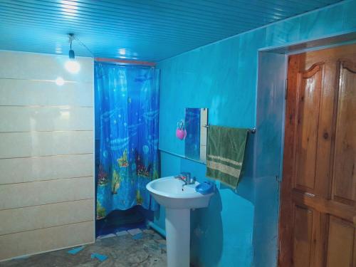Yukary-UkhumShiringul guesthouse in nuratau mountain的蓝色的浴室设有水槽和水族馆淋浴