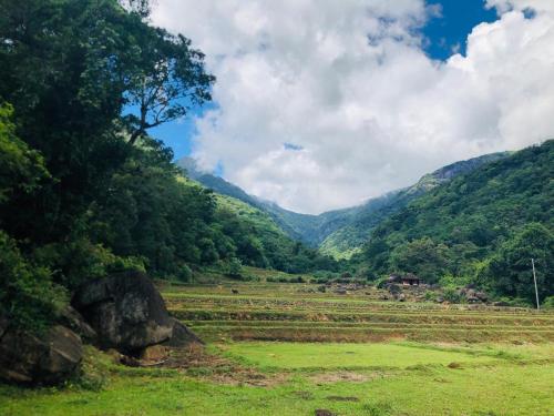 凯格勒Ceylon Guest的享有山脉背景的田野景色