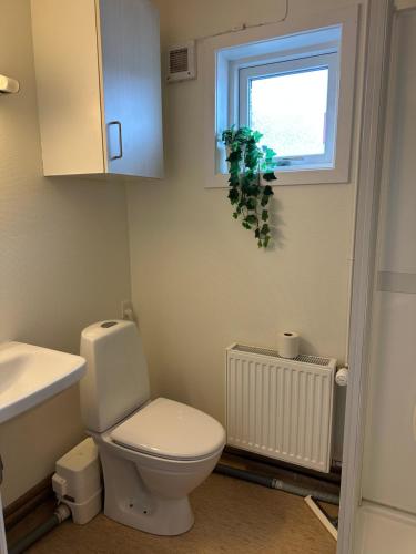 伊卢利萨特Modern seaview house Ilulissat的一间带卫生间、水槽和窗户的浴室