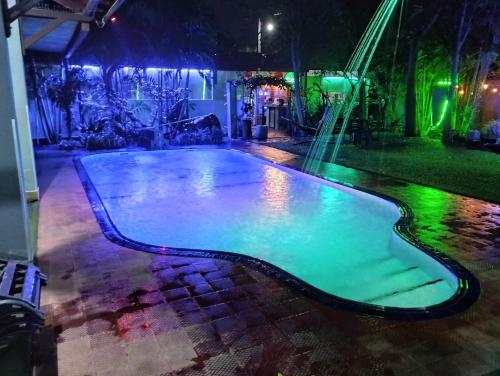 尼甘布棕榈别墅旅馆的夜晚带绿灯的游泳池