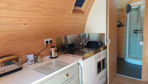 特鲁罗Robin- Ensuite Glamping Pod的厨房配有炉灶和台面