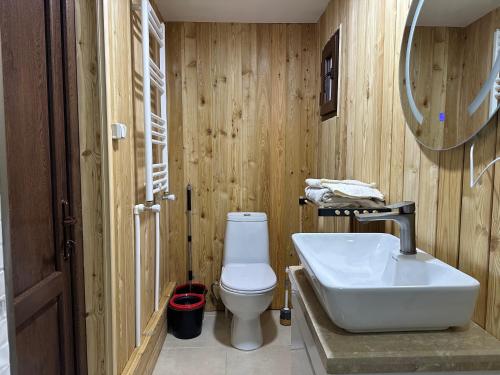 KiketʼiCozy Wooden House in Kiket'i კიკეთი的浴室配有白色水槽和卫生间。