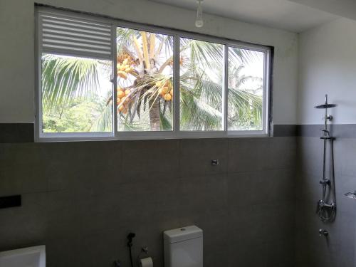 希克杜沃VILLA MAANE by GOODWILL的窗户,浴室内,有厕所和棕榈树