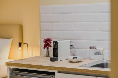 比索达雷加Primeiro Quartel Apartments - 5的厨房柜台配有咖啡壶和水槽