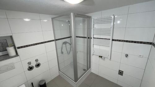 ErbachApartment Erbach-Ulm的浴室里设有玻璃门淋浴