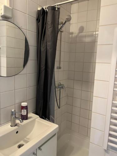 布鲁塞尔Flat brussels center的带淋浴和盥洗盆的浴室