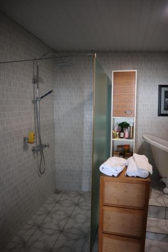 维多利亚180 Degrees Self-Catering的带淋浴和盥洗盆的浴室