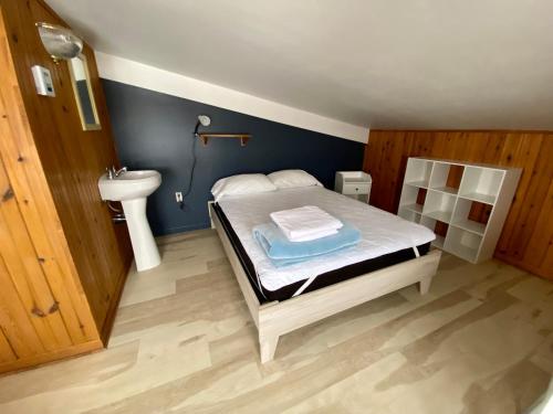Cap-aux-MeulesAuberge de Gros-Cap的一间带床和水槽的小卧室