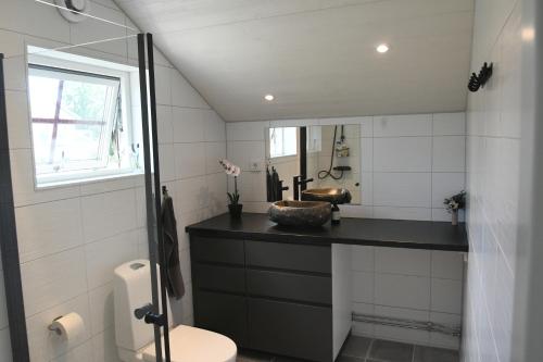 NättrabyhamnApartment Berghem Grönadal Nättraby的一间带水槽、卫生间和镜子的浴室