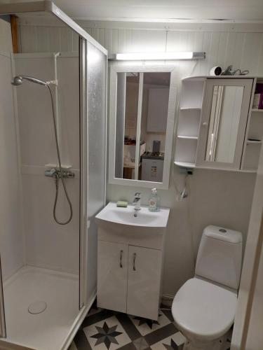 奥勒松Ålesund New Guesthouse的带淋浴、卫生间和盥洗盆的浴室