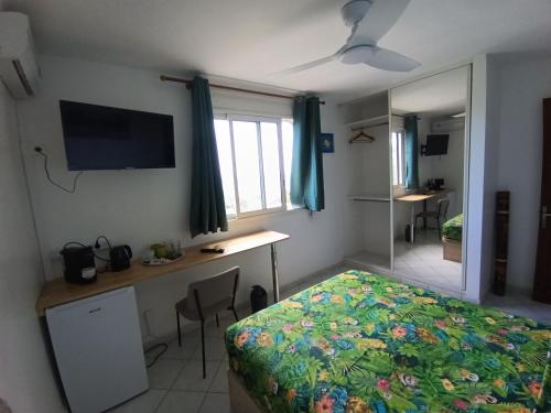 圣勒Chambre Vue sur Mer的一间卧室配有一张床、一张书桌和一台电视