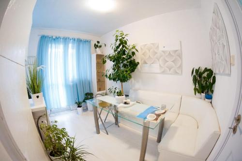 瓦尔纳Alex Botique的白色的客厅,配有玻璃桌和盆栽植物