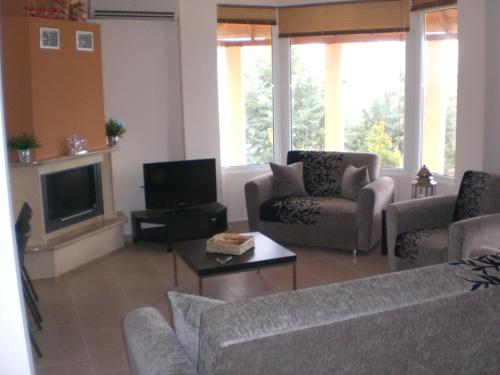 卡兰兹拉Wonderful Villa with great view in Posidi-Kalandra的客厅配有两张沙发和一台电视机