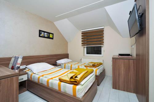 兹拉蒂博尔Vila Mina的带电视的小型客房中的两张床