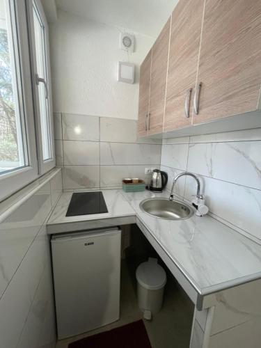 库伦瓦库夫Domaćinstvo Una-Ostrovica的白色的小厨房设有水槽和水槽