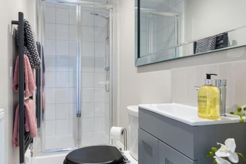 科尔切斯特Stylish and homely 1 bed Edwardian Coach House的带淋浴、卫生间和盥洗盆的浴室