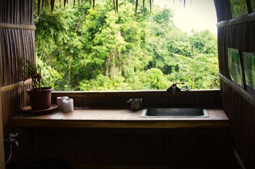 圣维森特The Overlook的带水槽的窗户,享有森林美景