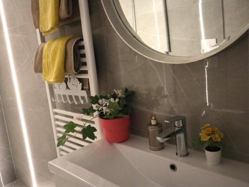 艾斯特根Romantic and relax的浴室水槽,上面有镜子和植物