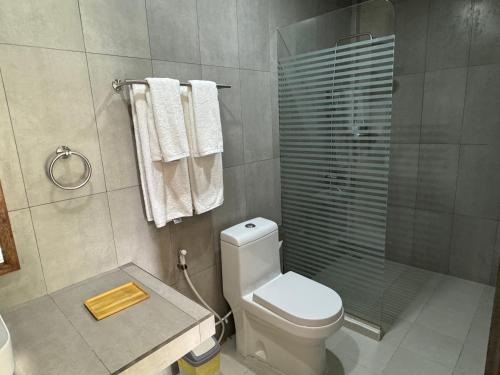迪古拉Akiri Dhigurah的浴室设有卫生间和带毛巾的淋浴。