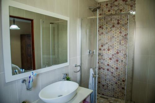 帕雷斯137 Vaal De Grace Golf Estate的浴室配有盥洗盆和带镜子的淋浴