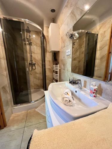 萨诺克Apartament u Doroty的一间带水槽、淋浴和镜子的浴室